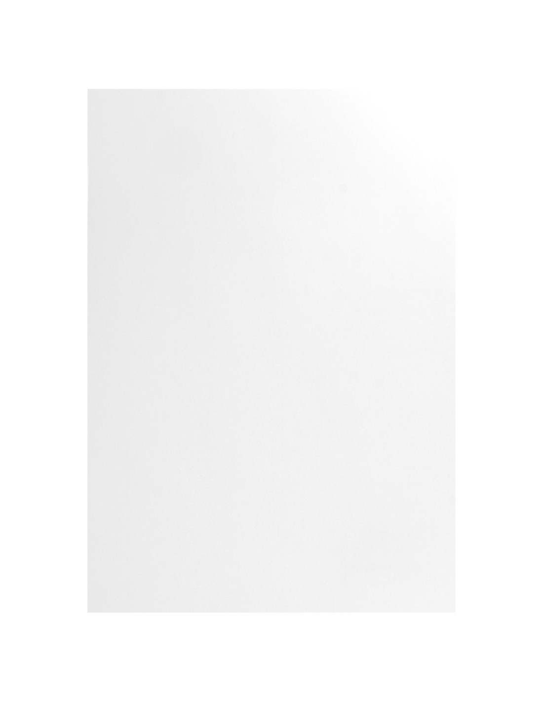 Papier Conqueror Laid 220g White pak. 10A4