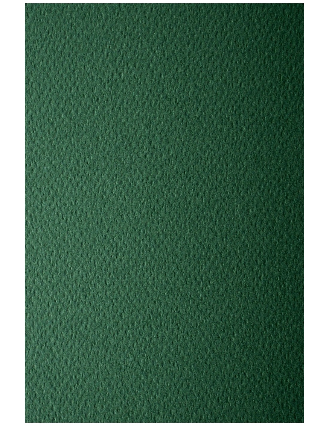 Papier Prisma 220g Pino pak. 10A4