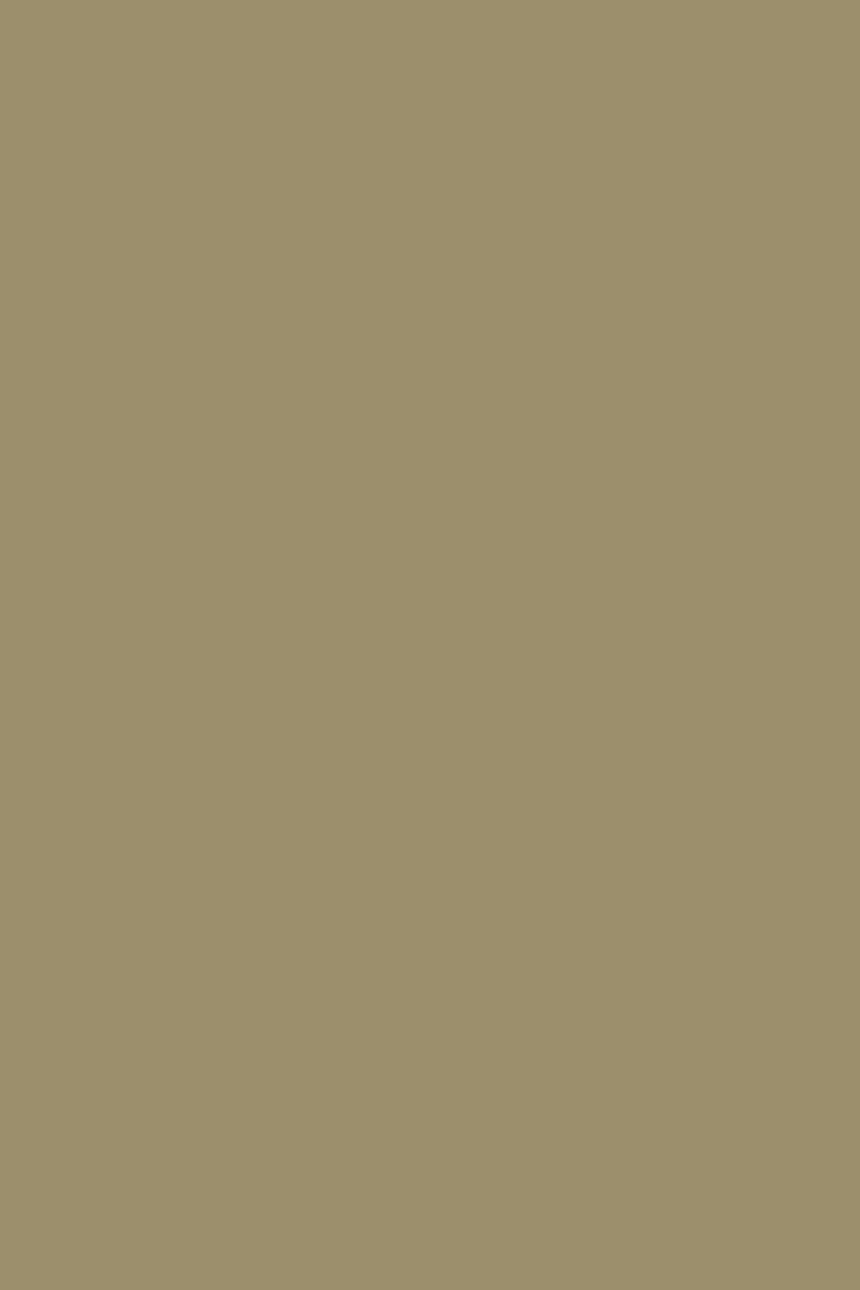 Woodstock Paper Noce 140g Pack of 10 A4 Woodstock Paper Noce 140g Pack of 10 A4