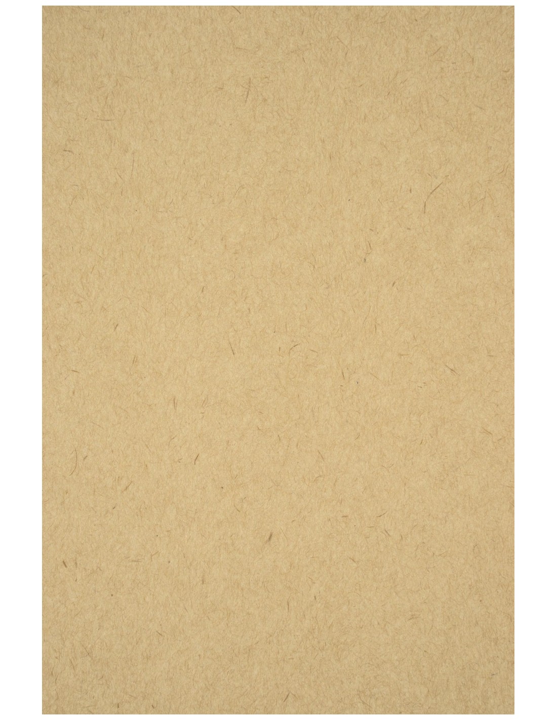 Recycled Kraft Paper LUX 280g Pack of 20 A4 Recycled Kraft Paper LUX 280g Pack of 20 A4