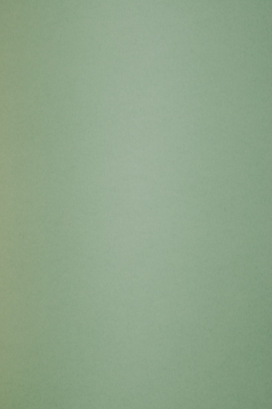 Papier Keaykolour 300g Matcha Tea 70x100
