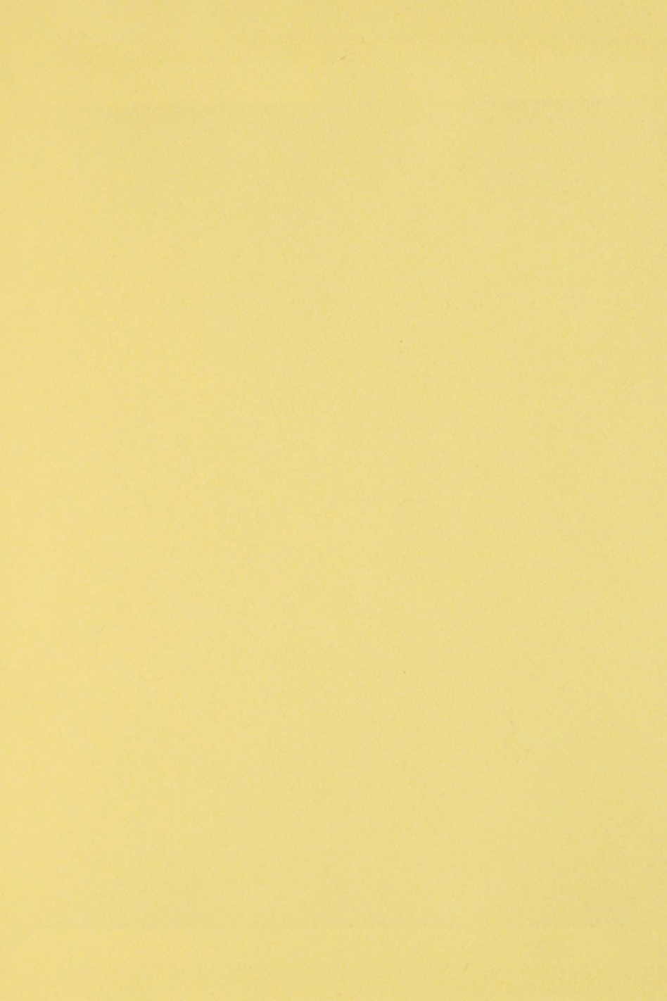 Burano 250g B07 Giallo 70x100 R100 paper Burano 250g B07 Giallo 70x100 R100 paper