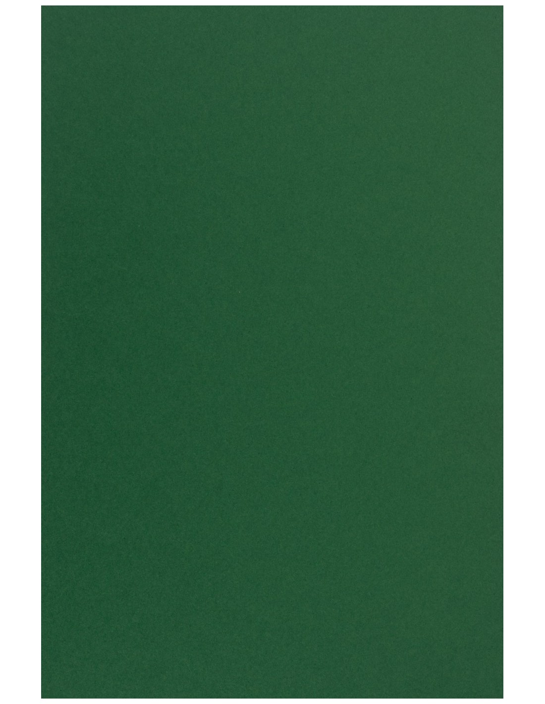 Sirio Color Paper 170g Foglia 70x100