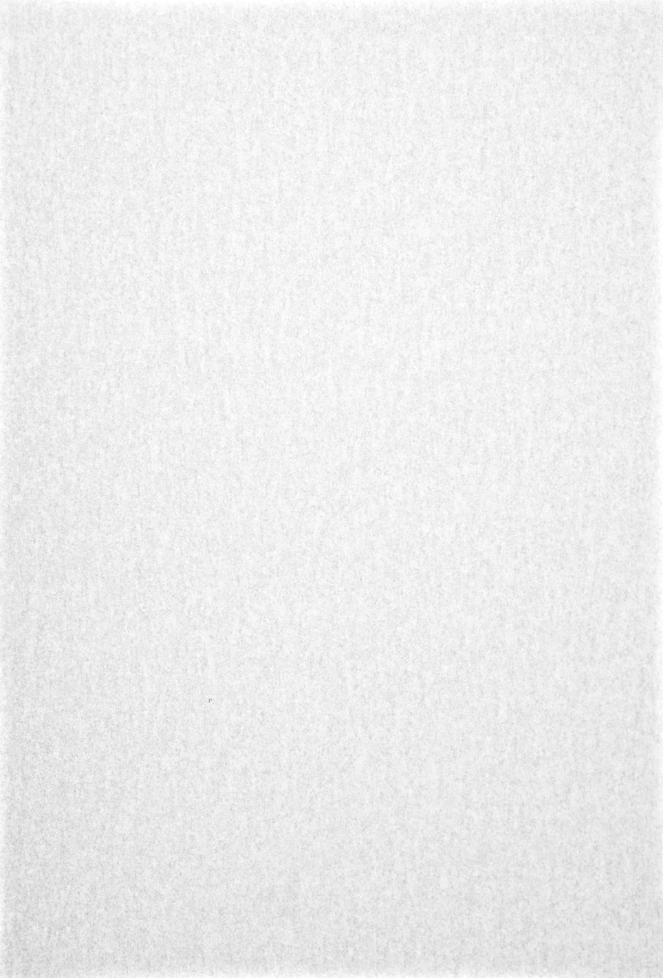 Pergamenata Translucent Paper 230g Bianco White 70x100