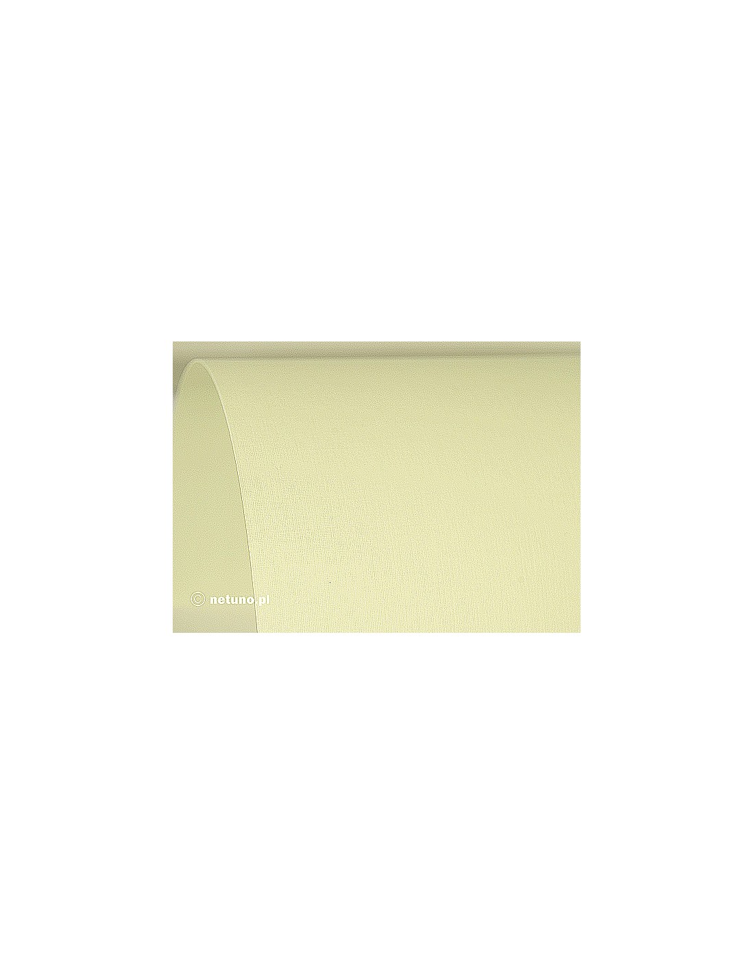 Aster 250g Canvas Cream paper 61x86 R100