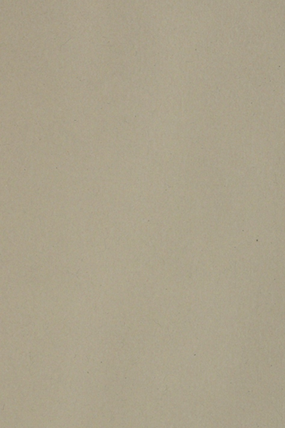 Papier ozdobny kolorowy gładki Burano 250g Pietra B14 pak. 10SRA3 Papier ozdobny kolorowy gładki Burano 250g Pietra B14 pak. 10SRA3