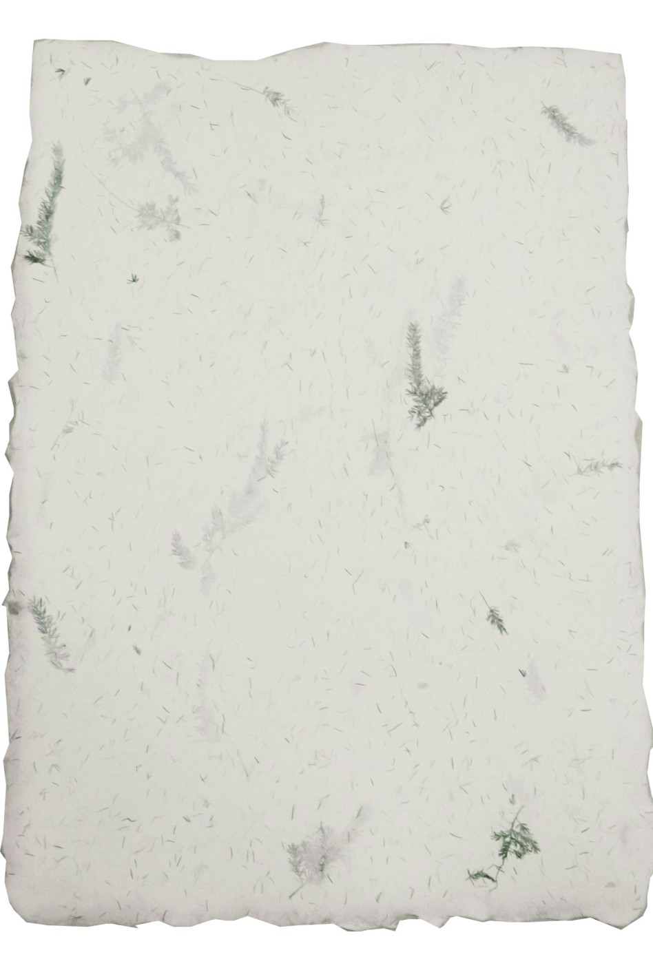 Papier czerpany kwiatowy - asparagus 5A4