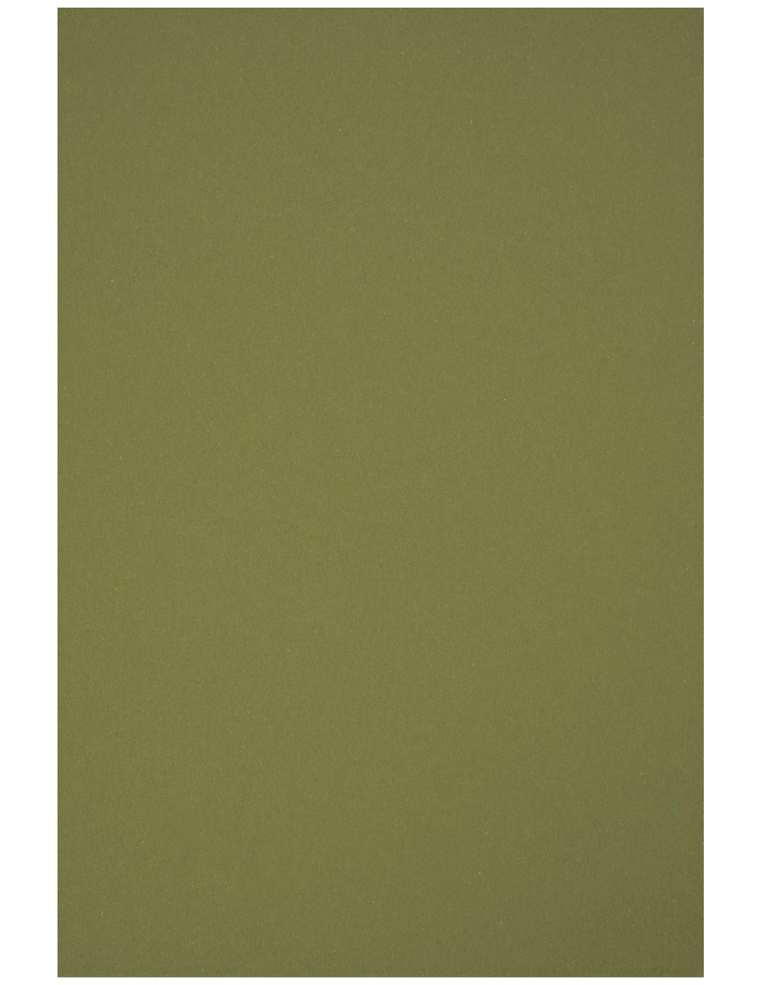 Papier ozdobny gładki kolorowy ekologiczny Circolor 80g Rosemary zielony pak. 50A4 Papier ozdobny gładki kolorowy ekologiczny Circolor 80g Rosemary zielony pak. 50A4