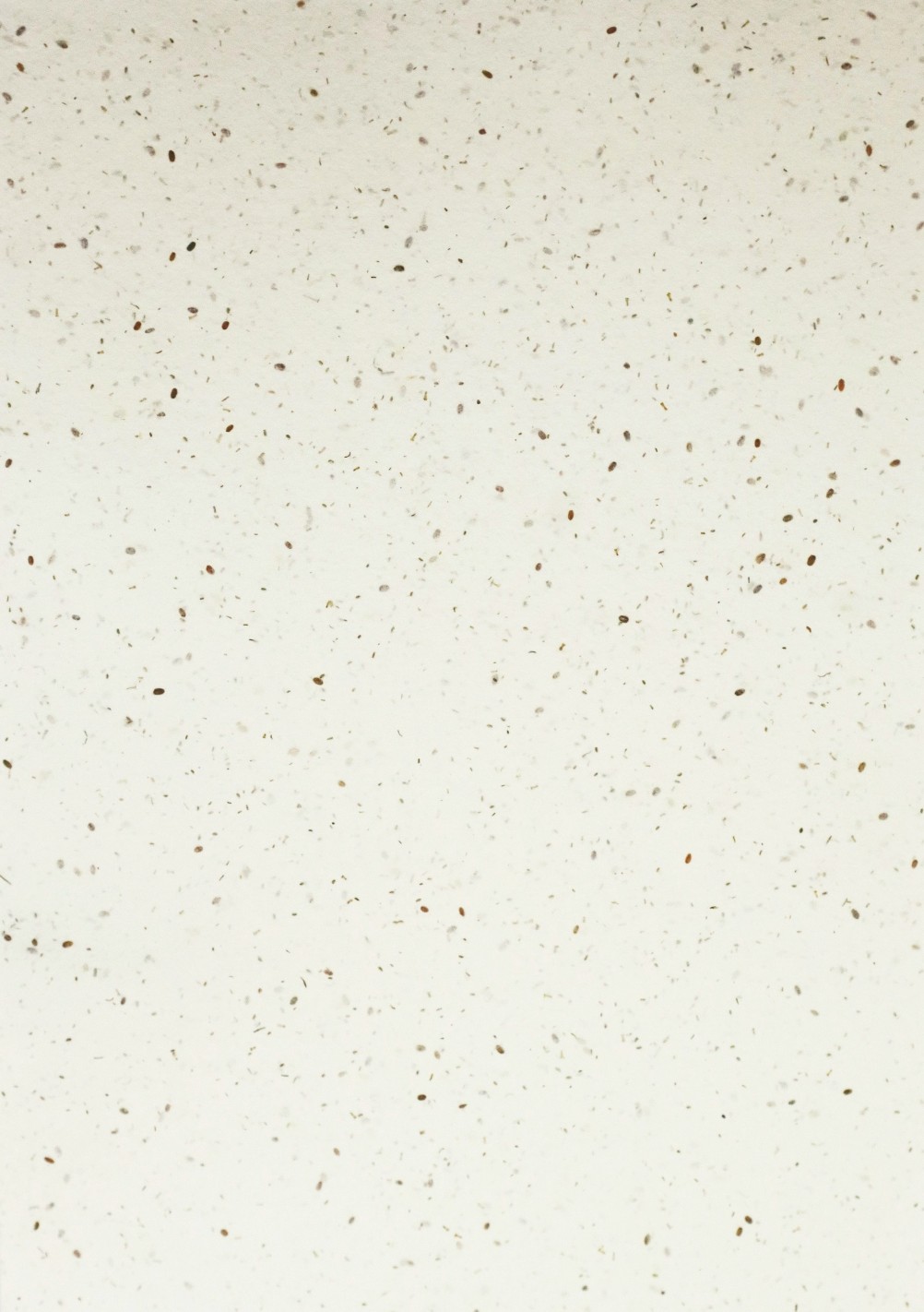 Papier ozdobny dekoracyjny czerpany rosnący z nasionami pak. 5A5
